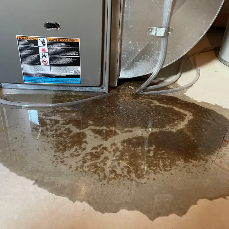 Appliance Leak Cleanup in Myrtle Grove, NC