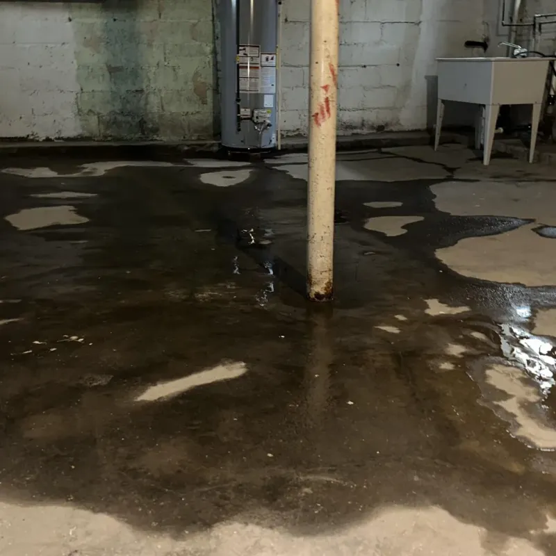 Emergency Water Extraction And Removal in Myrtle Grove, NC